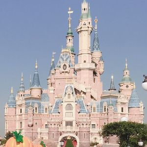 森林秋意里的恋曲