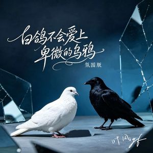 白鸽不会爱上卑微的乌鸦（氛围版）