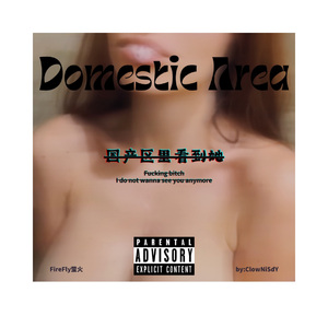 国产区里看到她(prod by Llouis)