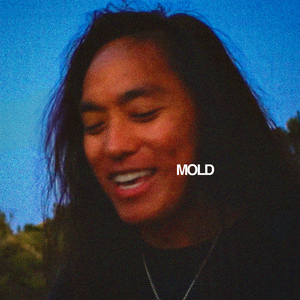 Mold