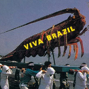 台湾ディストーション