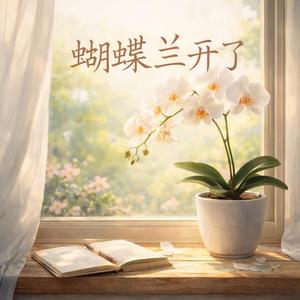 蝴蝶兰开了
