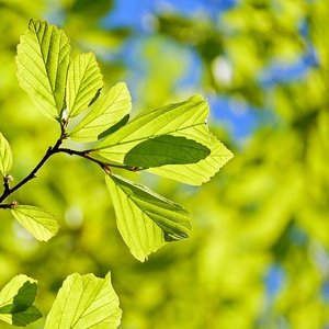 毕业快乐！！！