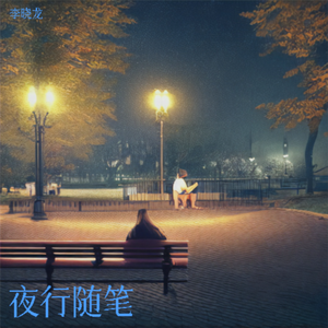 夜行随笔