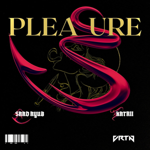 Pleasure (Radio Edit)
