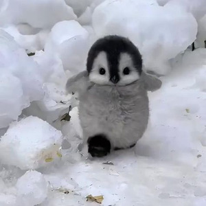 Everybody Get Up (slowed)