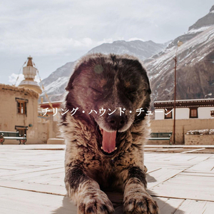 Vintage Waltz - Vibe for Quiet Dinners