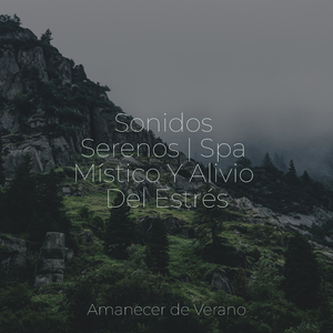 Ecos Entre los Campos