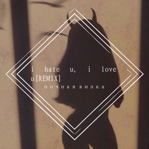 Sunfly Karaoke-i hate u, i love u（ночная вилка remix）