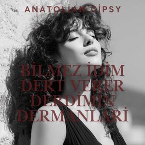 Bilmez İdim Dert Verer Derdimin Dermanlari