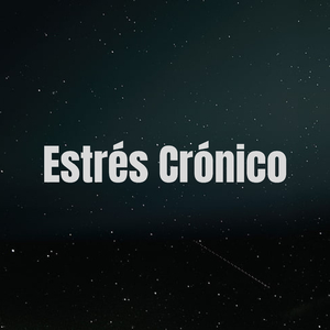 Cama Confortável