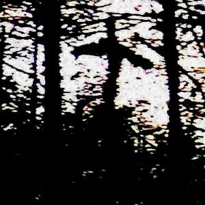 A SERIOUS HOUSE ON A SERIOUS EARTH