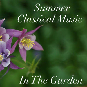 Cassation in F major, Hob 2: III