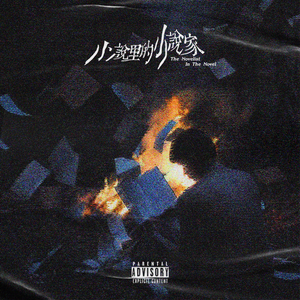 小说里的小说家