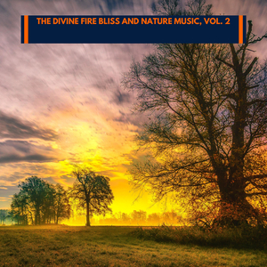 The Birds have Good Forest Feast