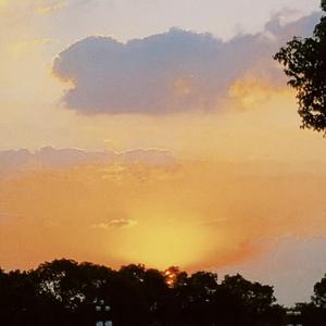 ORANGE （阿卡贝拉.ver)