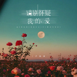 请别怀疑我的爱 (节奏氛围版)