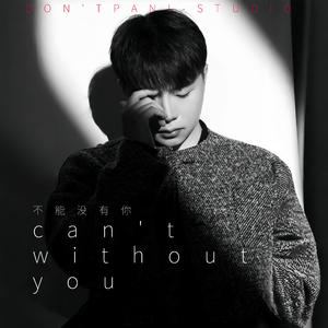 不能没有你