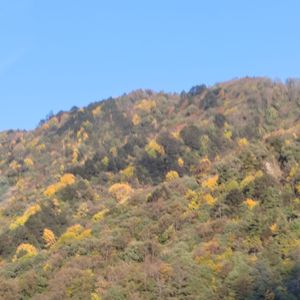 向阳而生