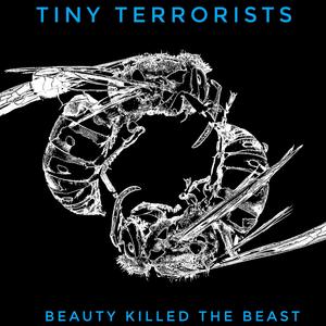 Beauty killed the Beast