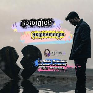 ស្រលាញ់បងអូនគ្មានអនាគតល្អទេ New Original Song By Mr SomNang Official