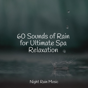 Pond, Splashing Water, Pebbles