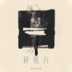 碎纸片 (DJ李秋琦版)0.8x版