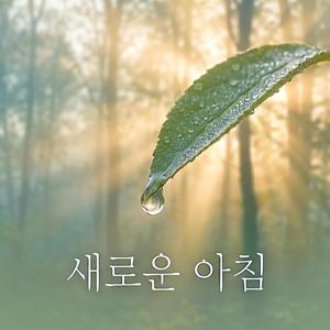새로운 아침
