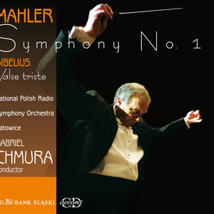 Symphony No. 1 in D Major, "Titan":IV. Sturmisch bewegt