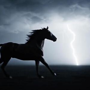 Dark Horse (feat. Coridian)