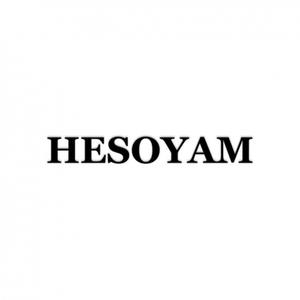 Hesoyam (feat. Jayy & Rouman)