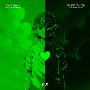 Too Good To Be True (TENDRIX Remix)