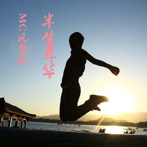 半生年华 伴奏
