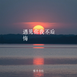 遇见你我不后悔