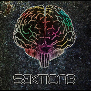 Sektioned