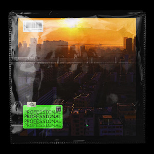 PROFESSIONAL Prod by ZS Beatz