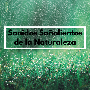 Sueño Saludable