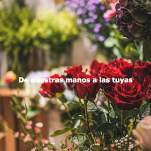 Laid-back Ambience for Coffee Exploring