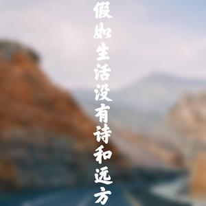 假如生活没有诗和远方（治愈版）