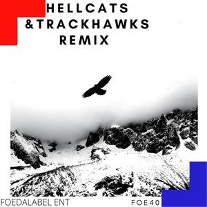 HELLCATS & TRACKHAWKS (REMIX) (REMIX)