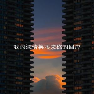 我的深情换不来你的回应