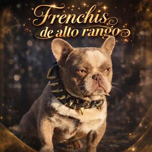 FRENCHIS DE ALTO RANGO