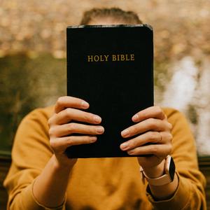 关于秋天的小回忆