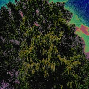 010