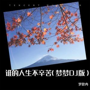 谁的人生不辛苦 (梦梦DJ版伴奏)