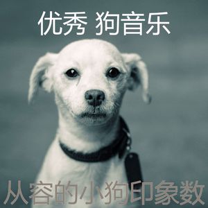 柔和的小狗时刻