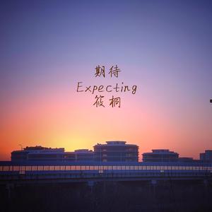 期待（Expecting）