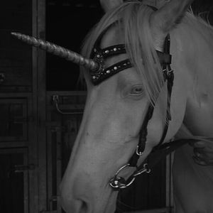 【Free】超绝 孟菲斯&暗黑Trap Type Beat