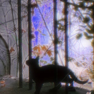 星 光 漫 过 窗 台 ，我 在 月 下 等 你♡
