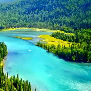 Wings of the Journey